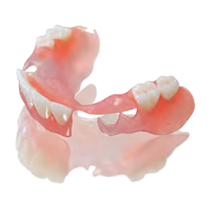 SunFlex® Bilateral Partial Denture